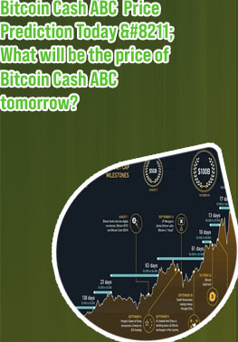 Does bitcoin cash have a future