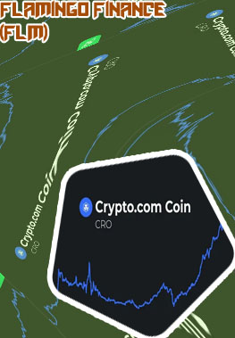 Flm crypto price