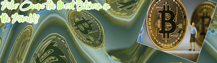 Who has the most bitcoin in the world